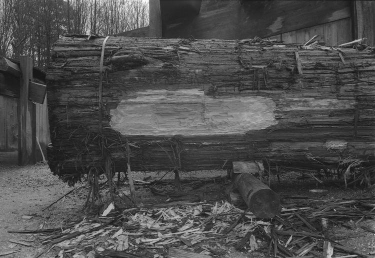 Original digital objects not accessible
