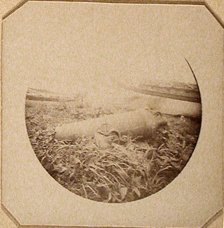 Original digital objects not accessible