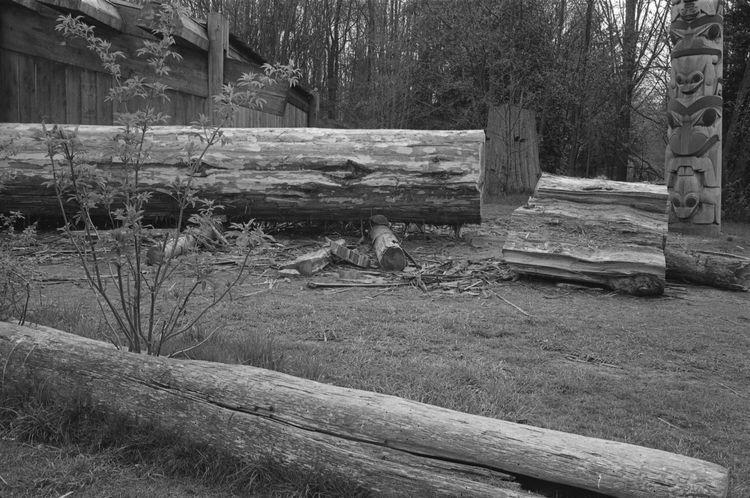 Original digital objects not accessible