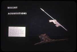 Recent Acquisitions: Spear Thrower