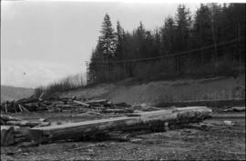 Norman Tait's first view of log at the L&K Log-sorting yard in Gibson’s Landing, B.C.