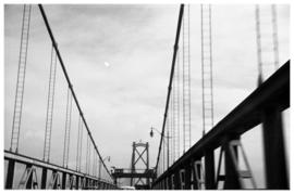 Lions gate Bridge from Stanley Park