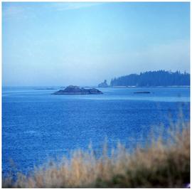 Nuu-chah-nulth], Yuquot (Friendly Cove)