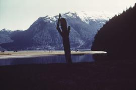 Pole silhouette, water, and mountains