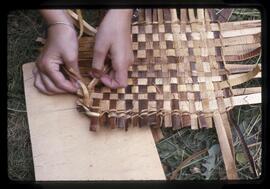 Child weaving cedar
