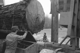 Unloading steel hooks for crane