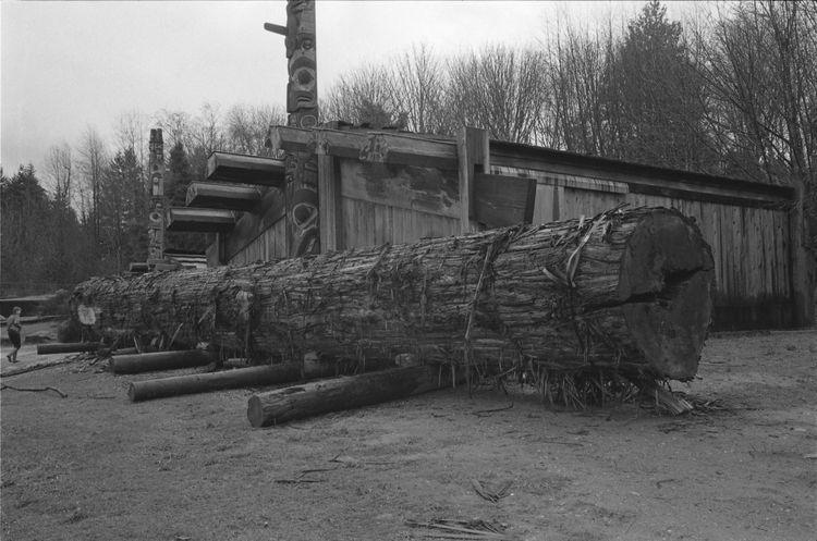 Original digital objects not accessible