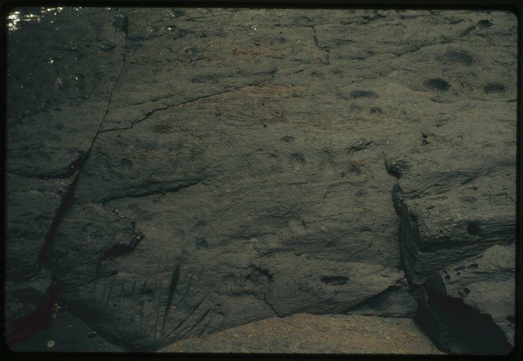 Original digital objects not accessible