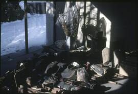 Items laid out in the new Museum of Anthropology