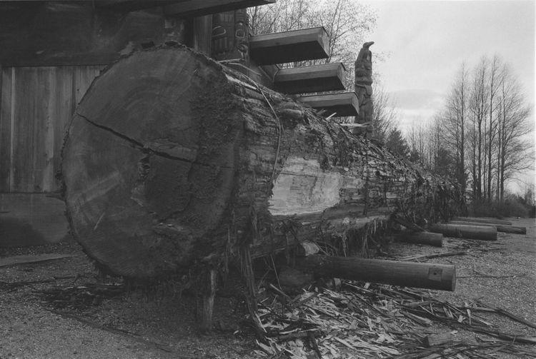 Original digital objects not accessible