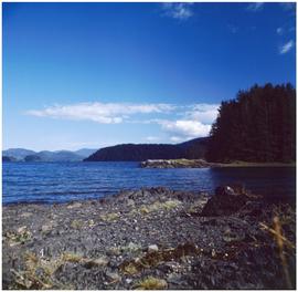 Slate Chuck beach