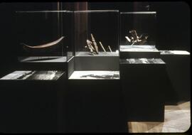 Fish hooks and model canoes on display