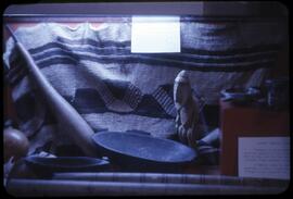 Display from the exhibit "Melanesian Culture"
