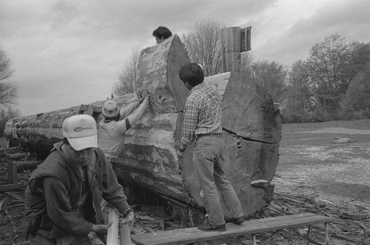 Original digital objects not accessible