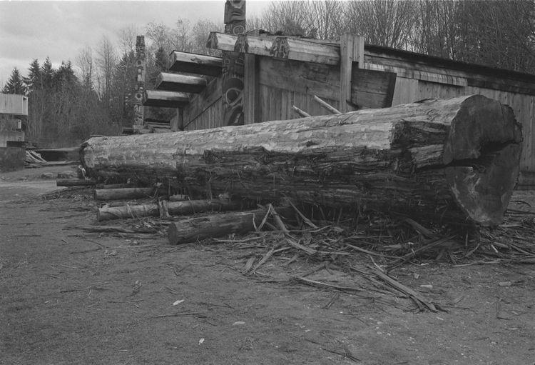 Original digital objects not accessible