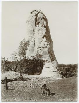 Rocky formation, New Mexico (?)