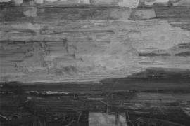 [Close-up of log]