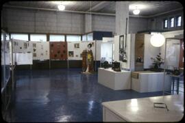 Wider view of Japanese culture and art exhibit