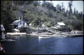 View of houses in Ucluelet