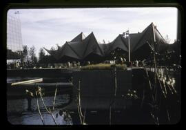 Expo 67-Dr. M. Shaw Section A#19